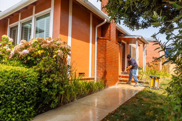 Best Local Pressure Washing Services  in Linden, TN