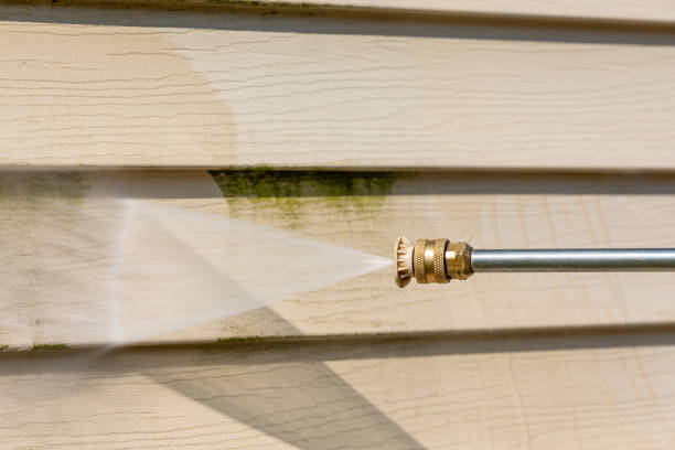 Best Exterior Home Cleaning  in Linden, TN