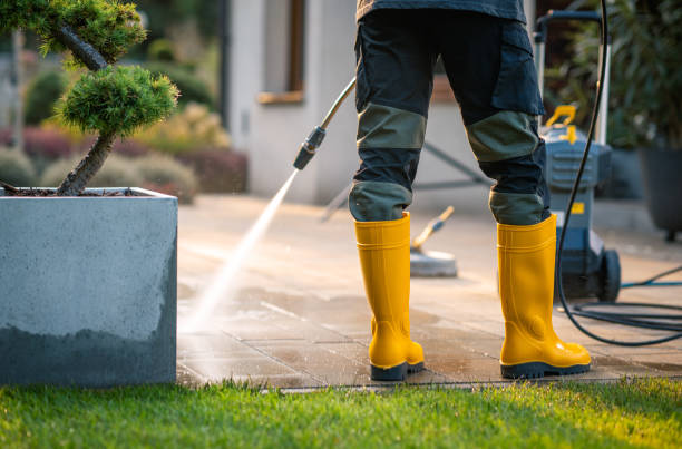 Best Sidewalk Pressure Washing  in Linden, TN
